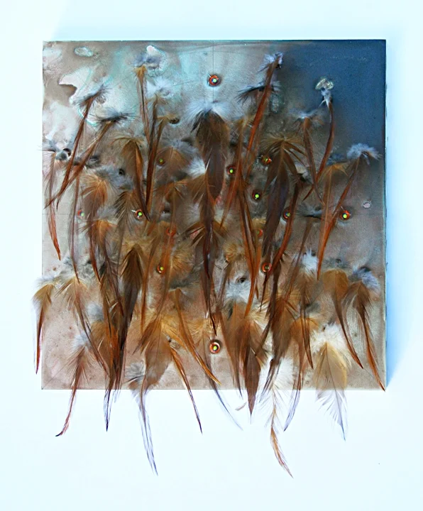 Strange Attractor (wood lot, fall)