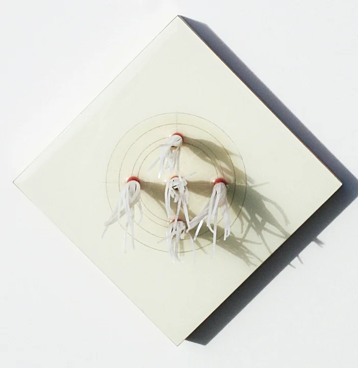 Strange Attractor (lure)
