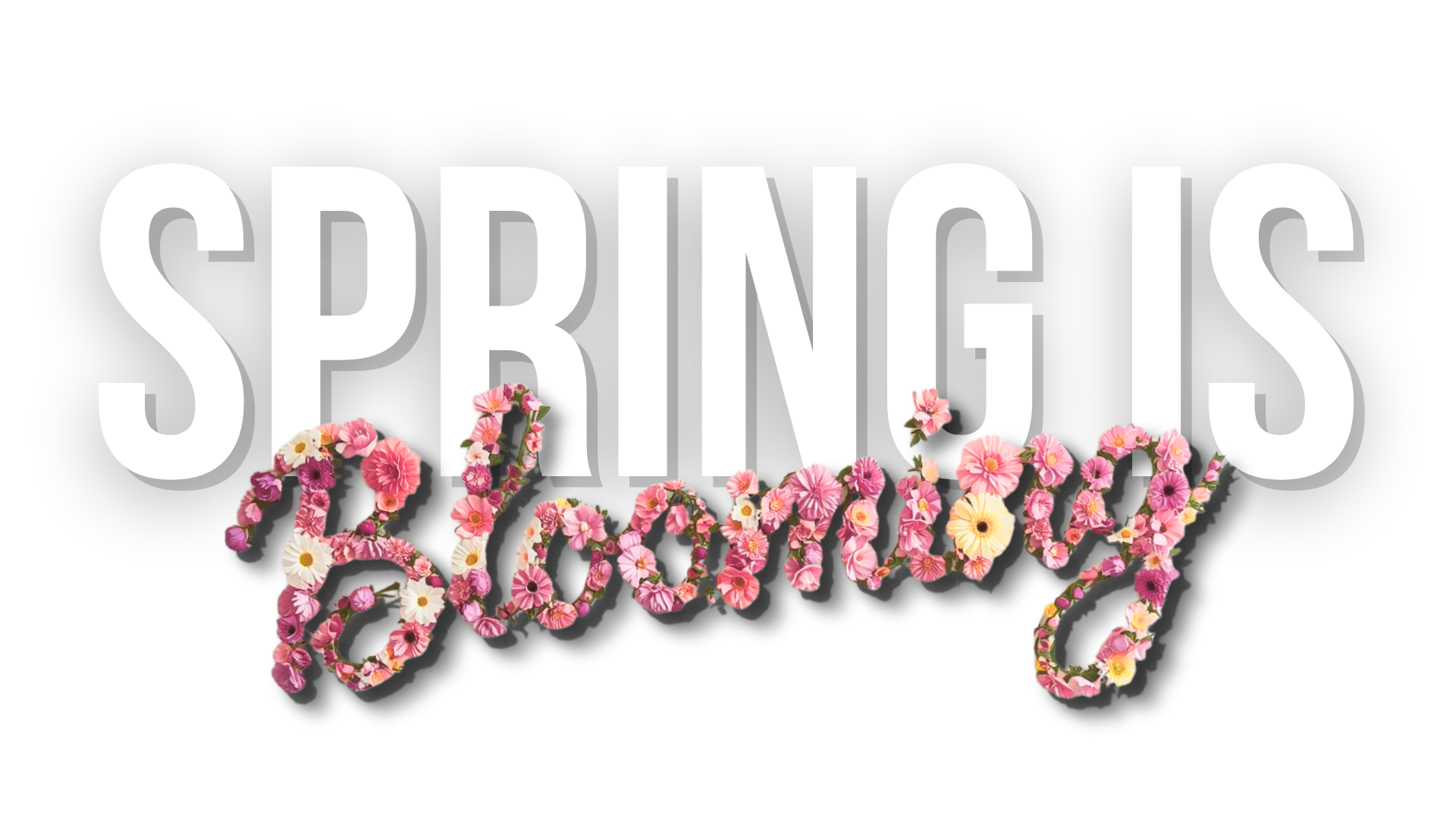 Fuel America “Spring Is Blooming” promotional banner with bold white lettering and floral typography on black background celebrating the new spring season.
