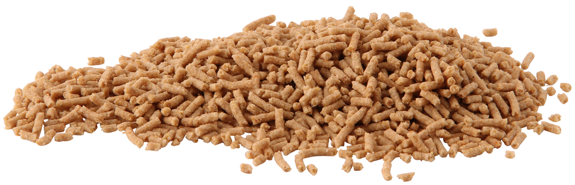 pi-trugain-small.png