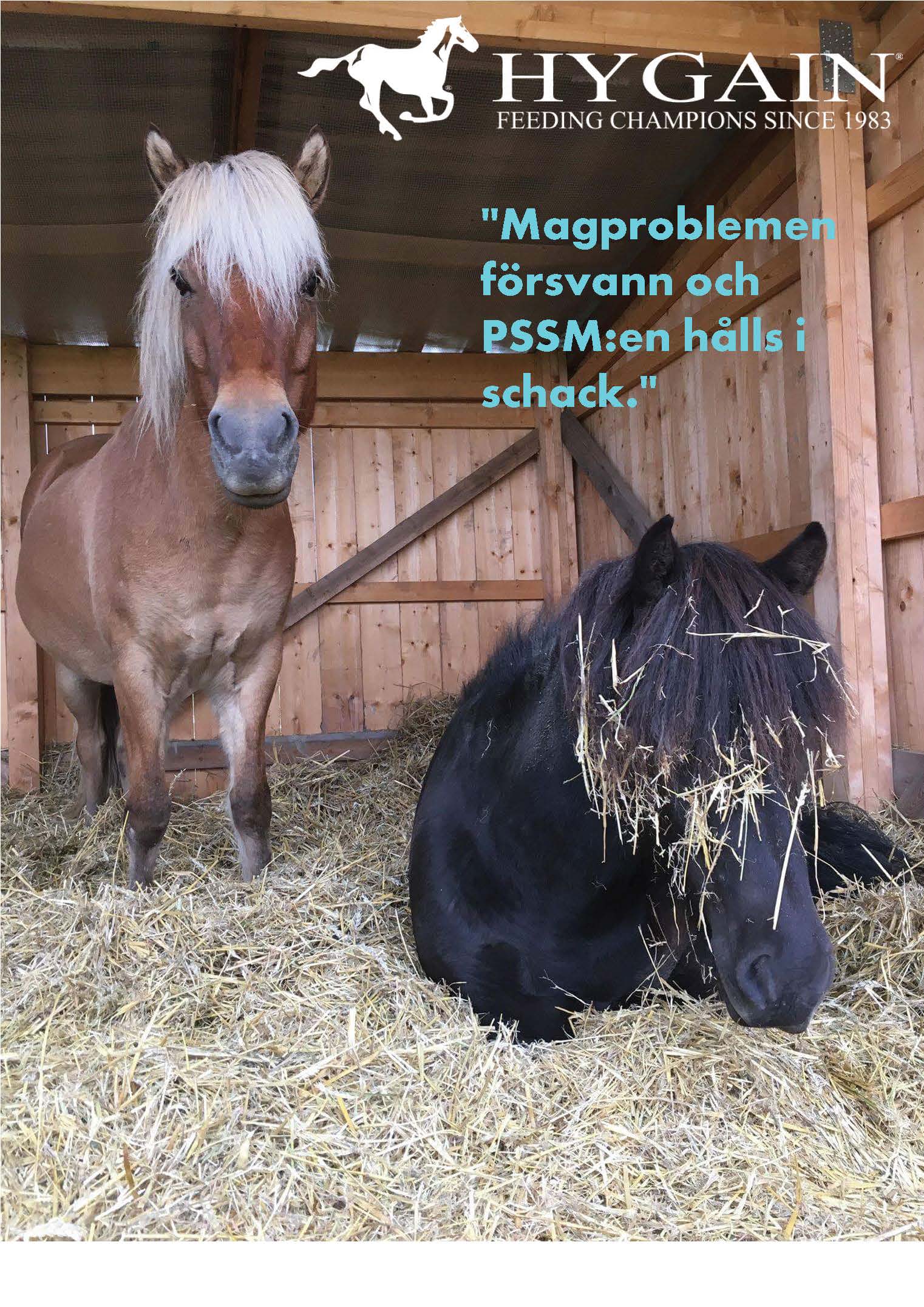 EssetBaldur.jpg