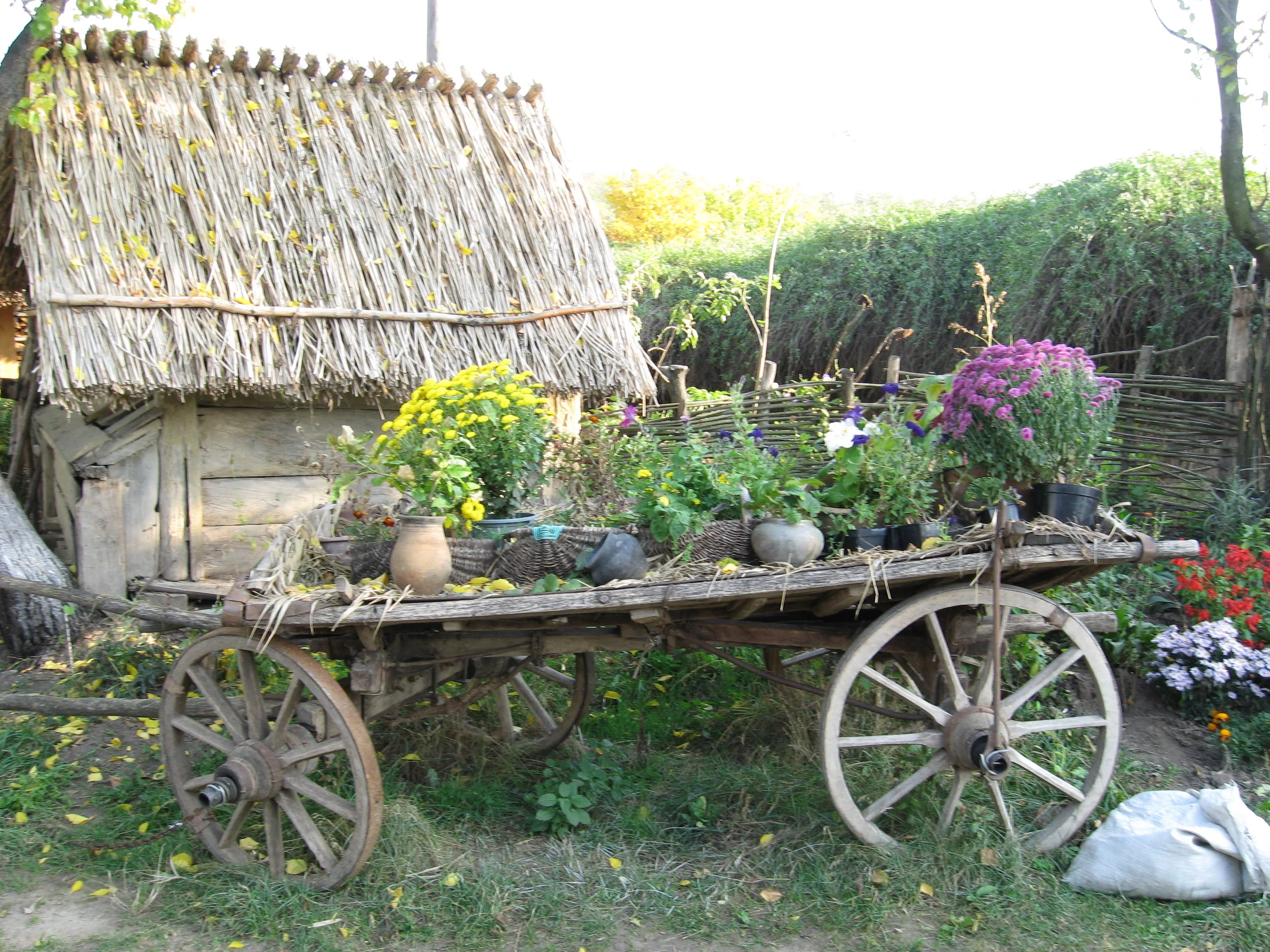 Pig Sty in the Ukraine Doesn’t Detour Business