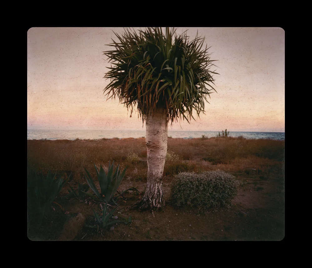 Un Jardín en el Mediterráneo