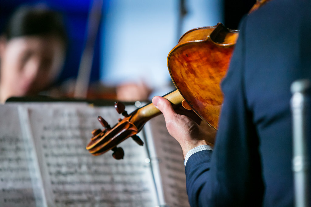 John TACA Viola picture.jpg