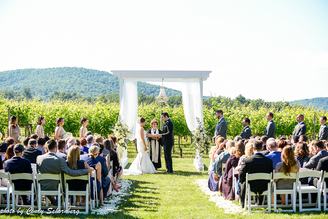 vineyard_weddings_Charlottesville_Virginia_004.jpg