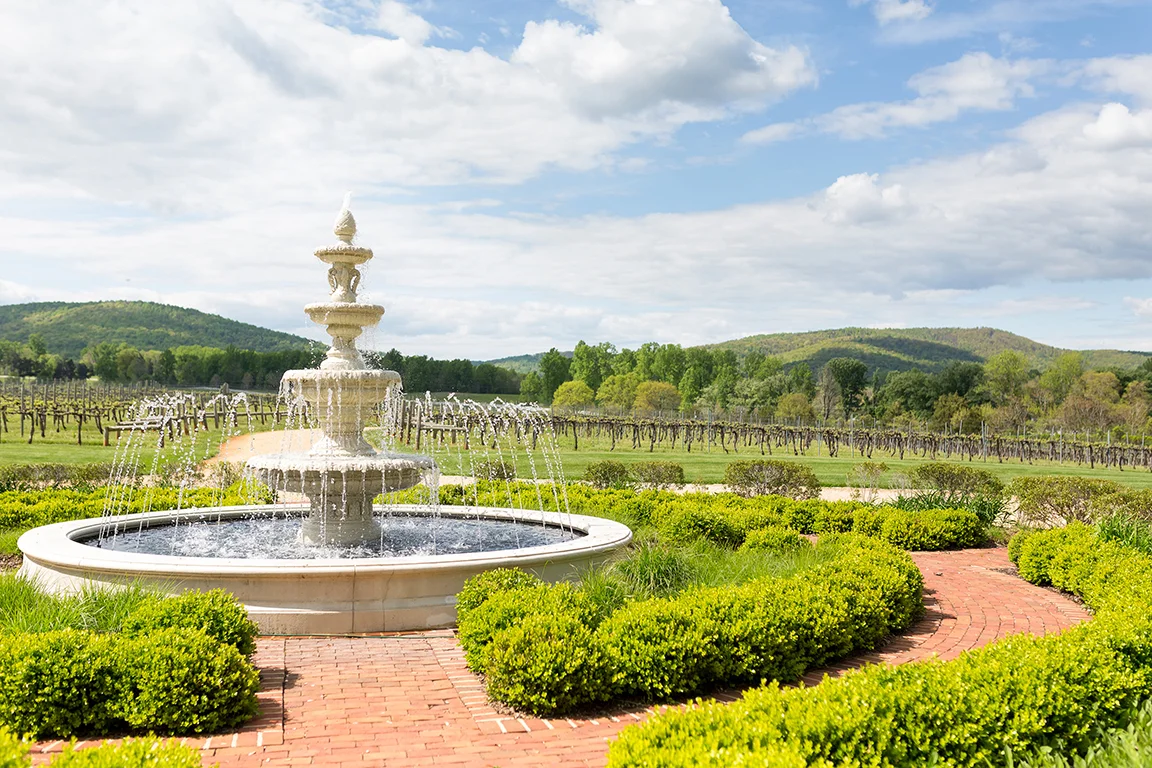 vineyard_wedding_222.jpg