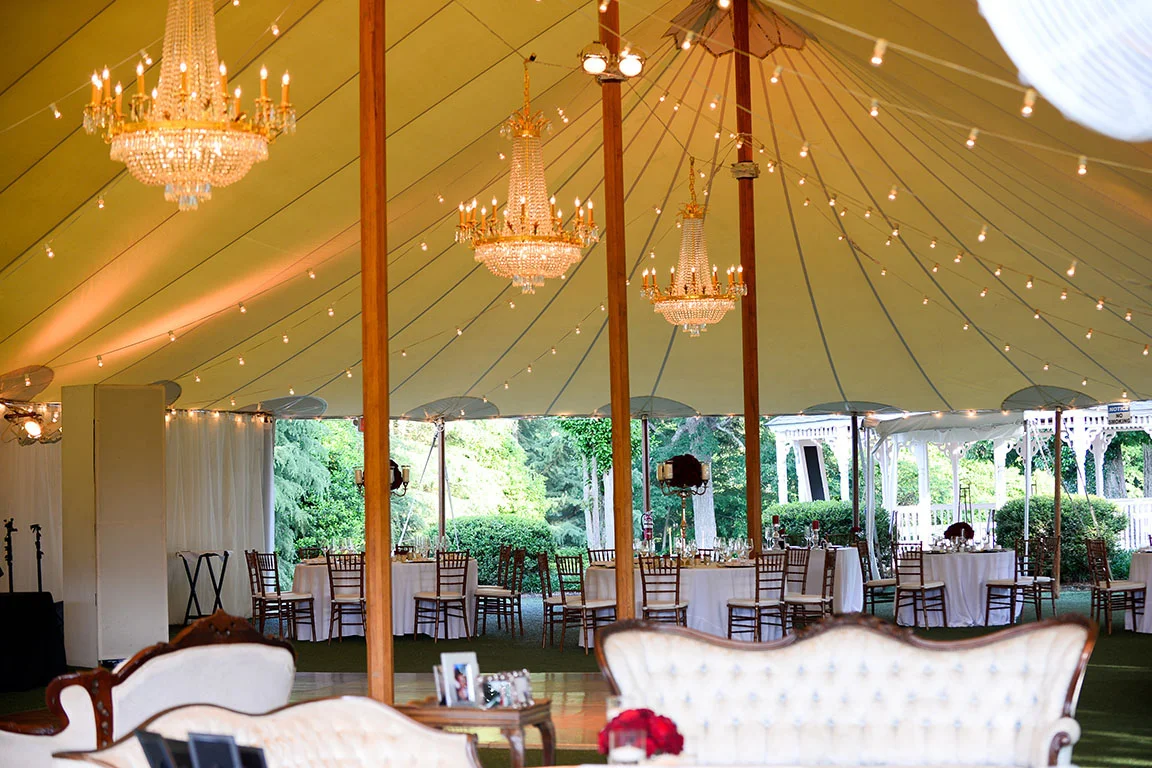 vineyard_wedding_229.jpg