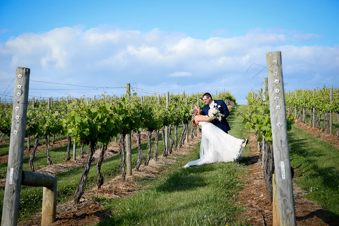 vineyard_wedding_030.jpg