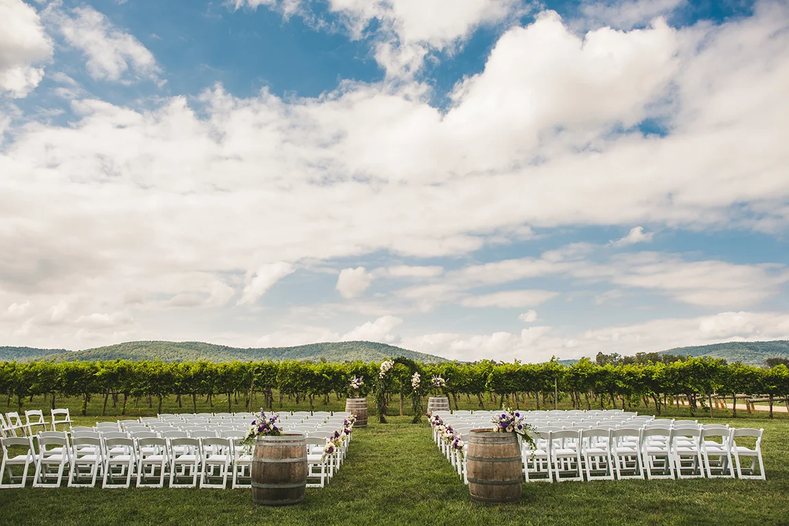 vineyard_wedding_092.jpg
