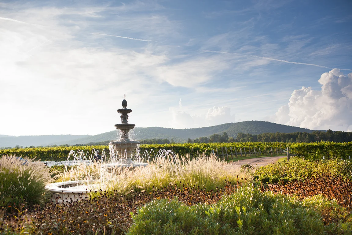 vineyard_wedding_108.jpg
