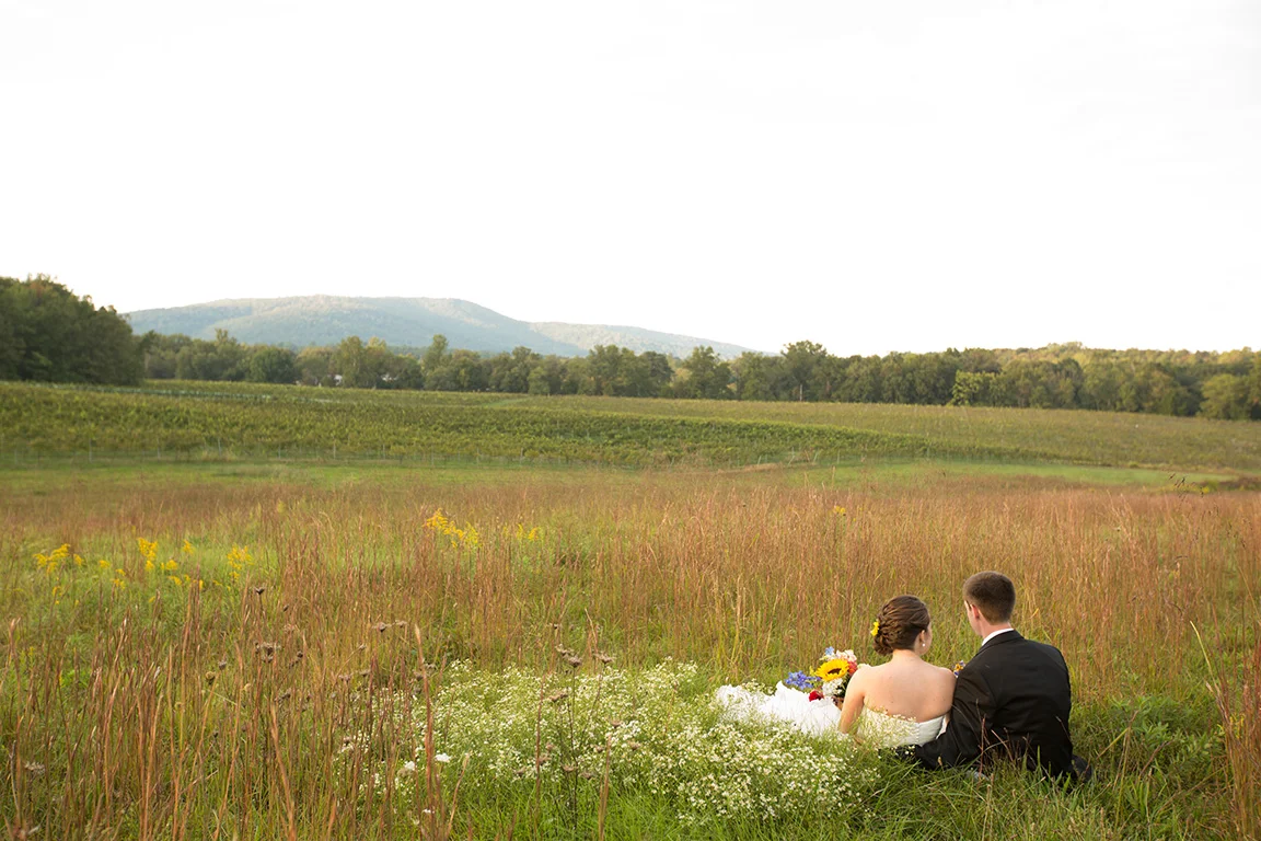 vineyard_wedding_114.jpg