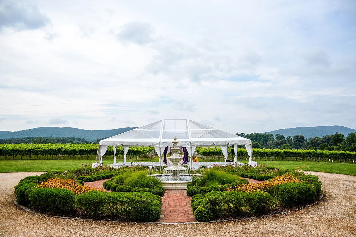 vineyard_wedding_148.jpg