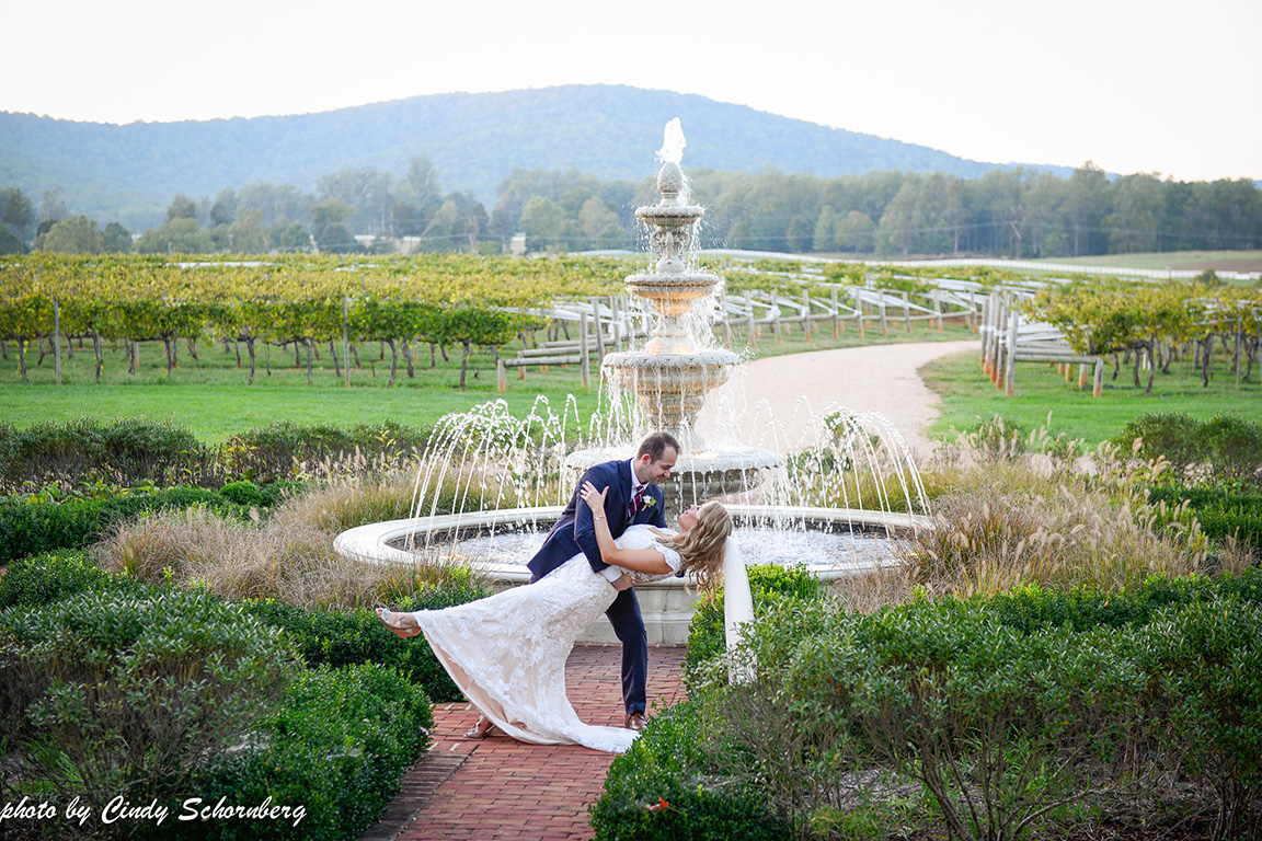 vineyard_wedding_virginia_venue.jpg