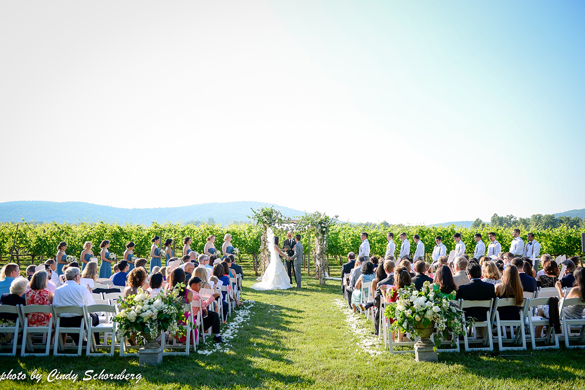 vineyard_weddings_Charlottesville_Virginia_004.jpg