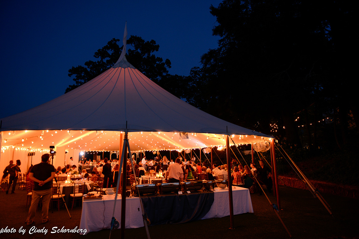 vineyard_weddings_Charlottesville_Virginia_010.jpg