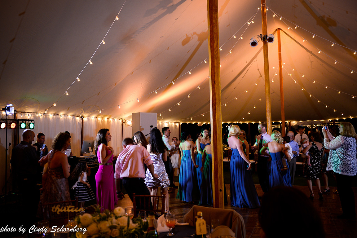 vineyard_weddings_Charlottesville_Virginia_014.jpg