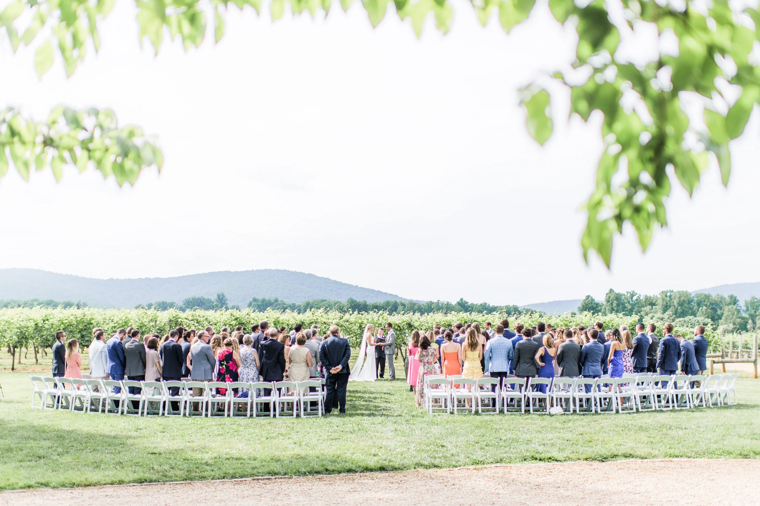 Keswick Vineyards Weddings Keswick Vineyards Weddings