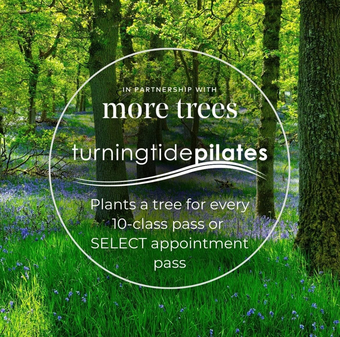 Thrilled to be featured on @moretreesthgeco instagram feed today! Since partnering with them, we&rsquo;ve planted 359 trees on behalf of our clients!

Did you know that every time you purchase a 10 class pass, or SELECT appointment pass, we&rsquo;ll 