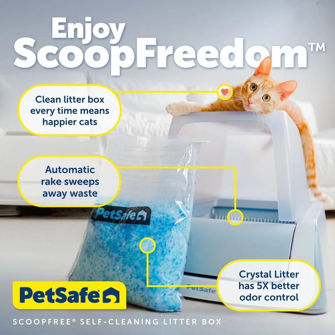 PSASF-47_PS_SF_ScoopFreedom_P2_Asset7-Static-1x1.jpg