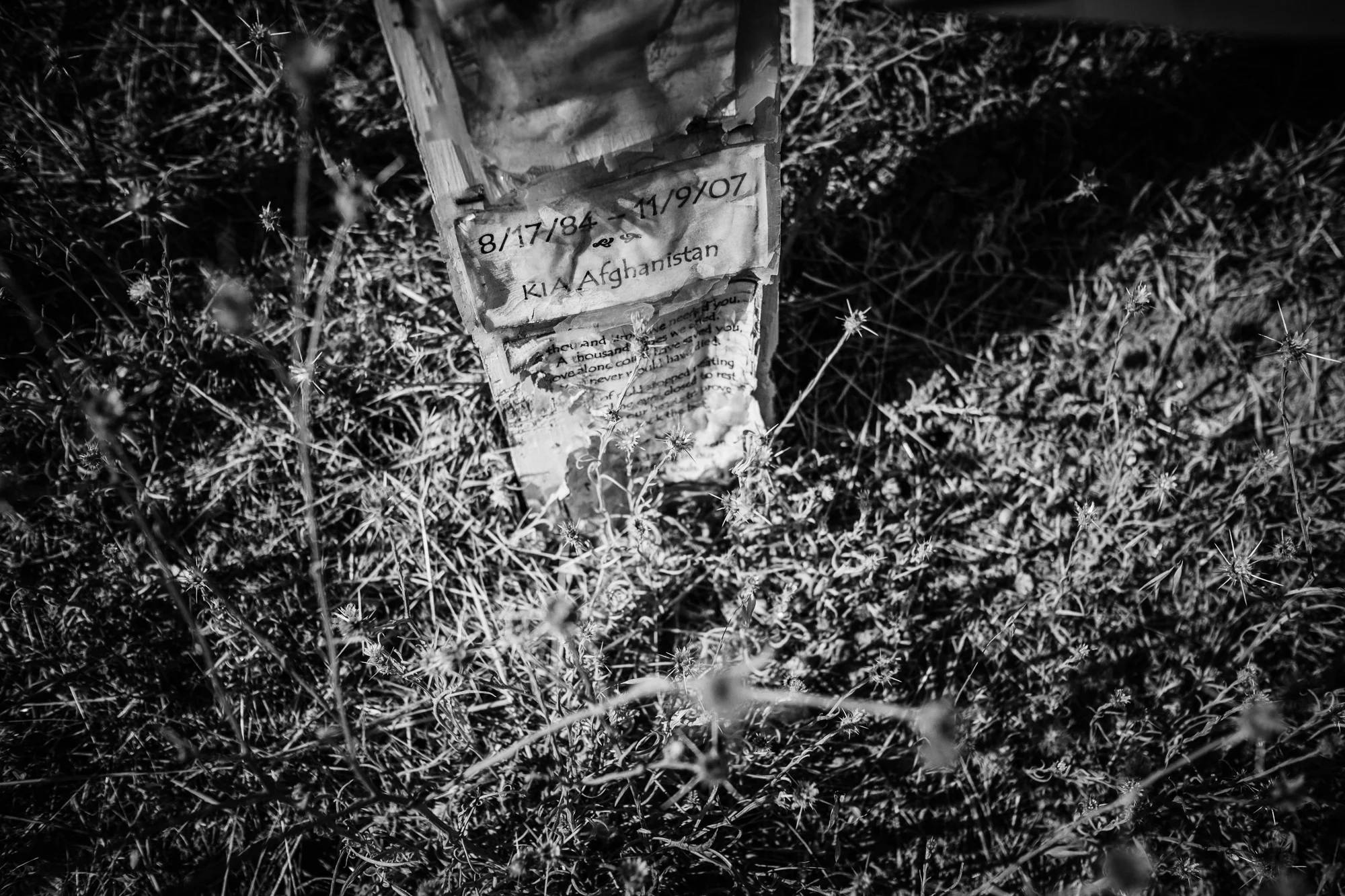 high the hill-9.jpg