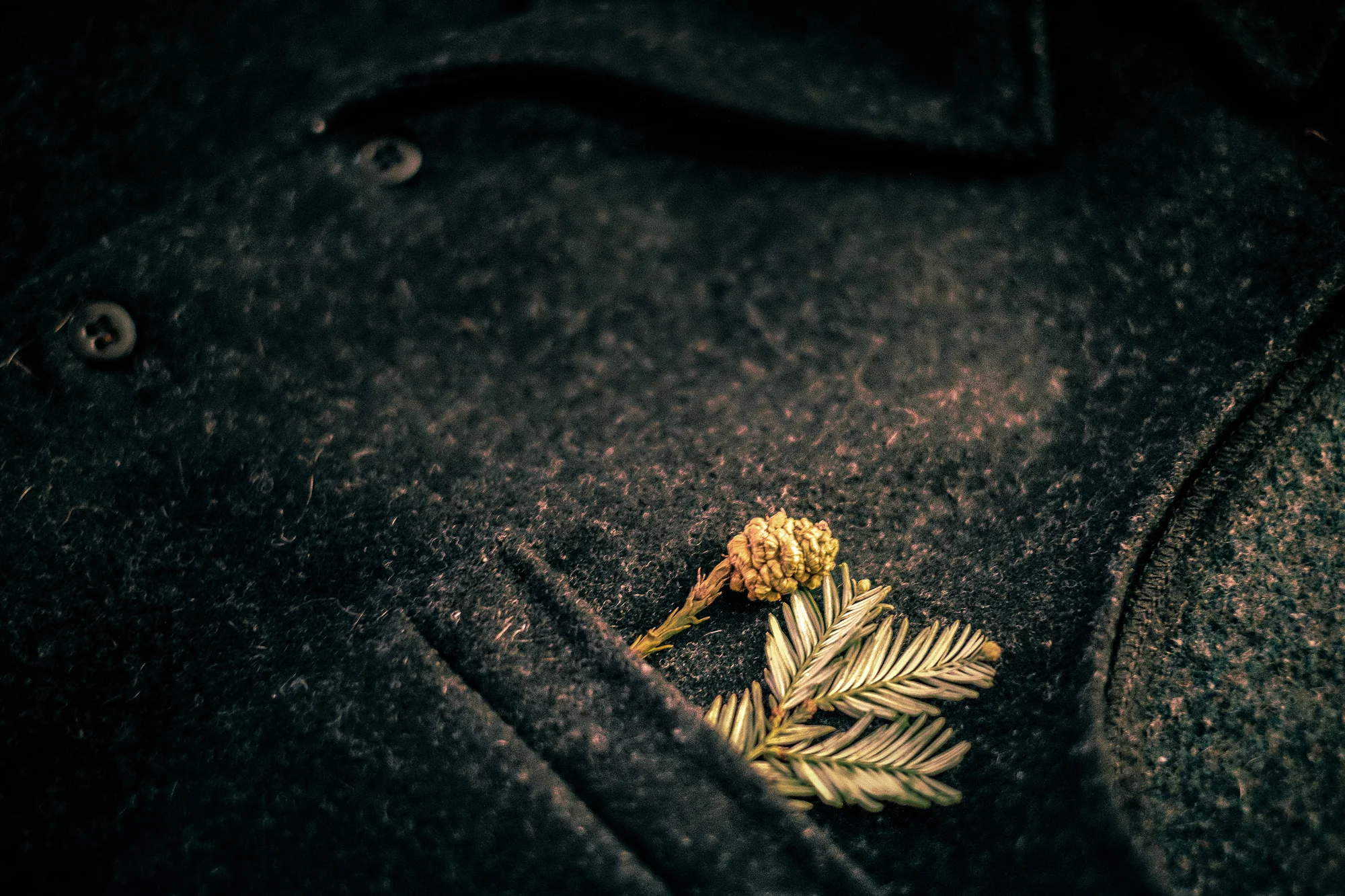 vest_.jpg