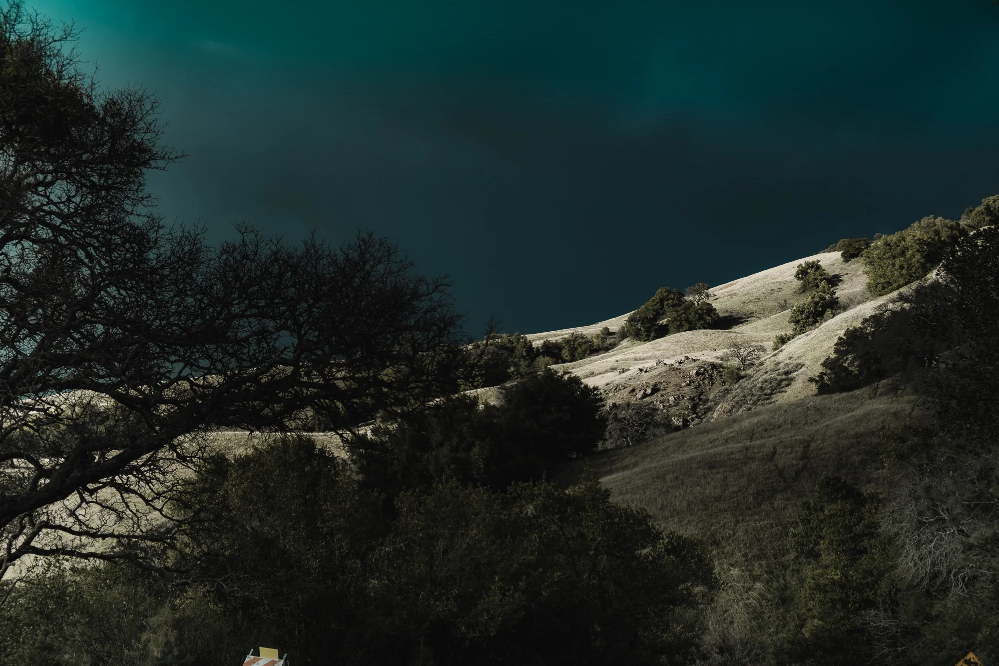mt diablo-19.jpg
