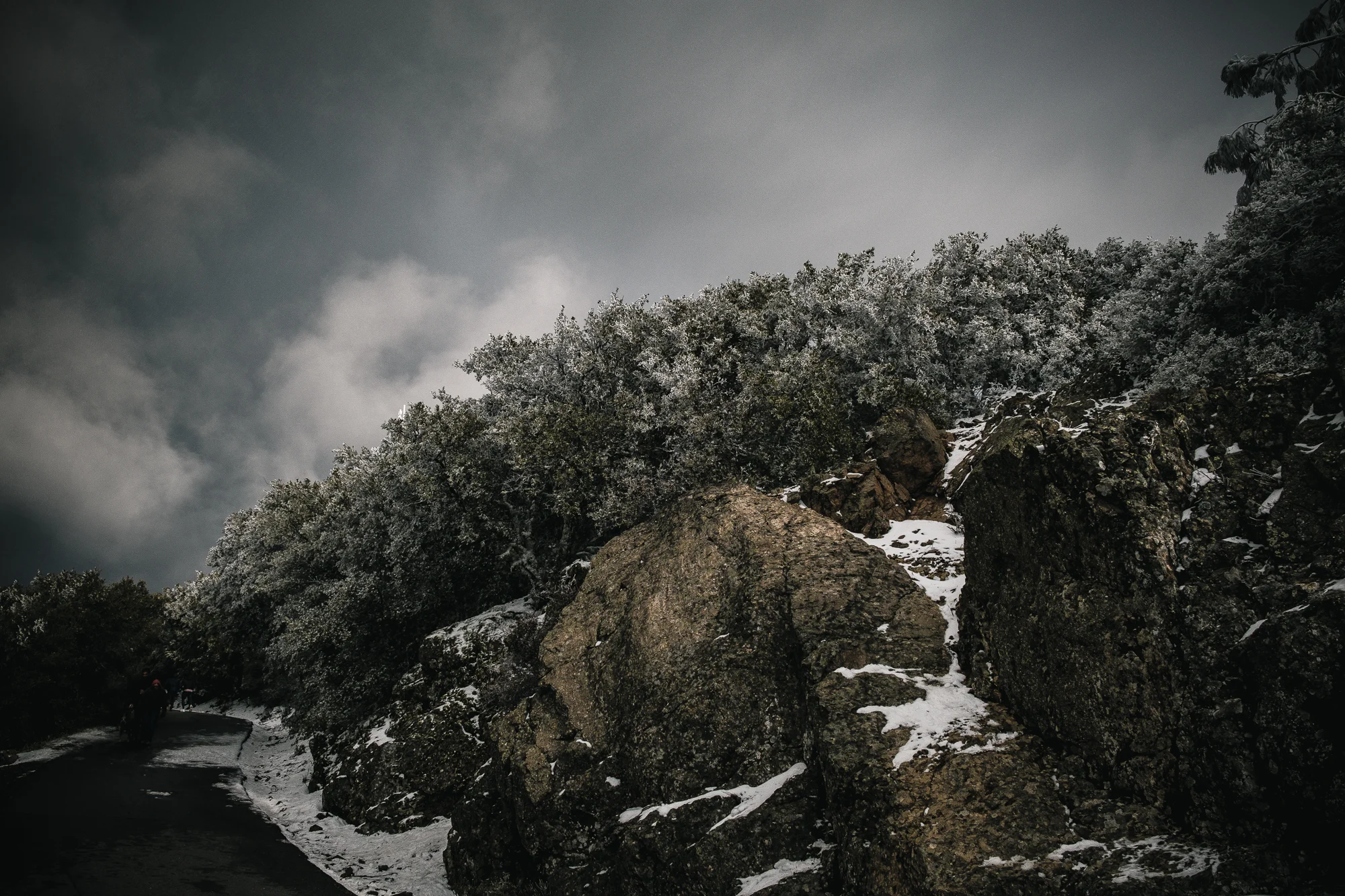 mt diablo-17.jpg