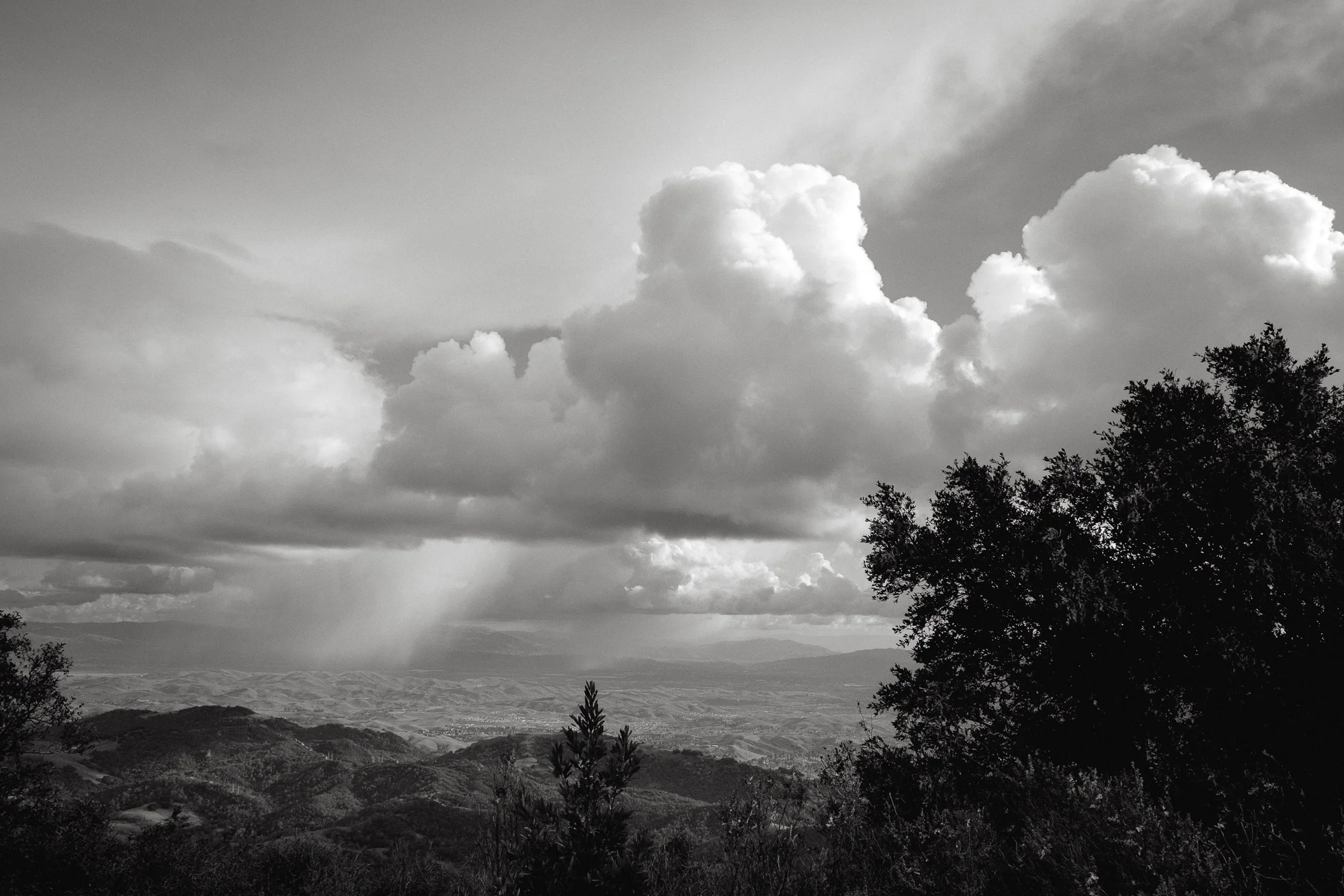 mt diablo-15.jpg