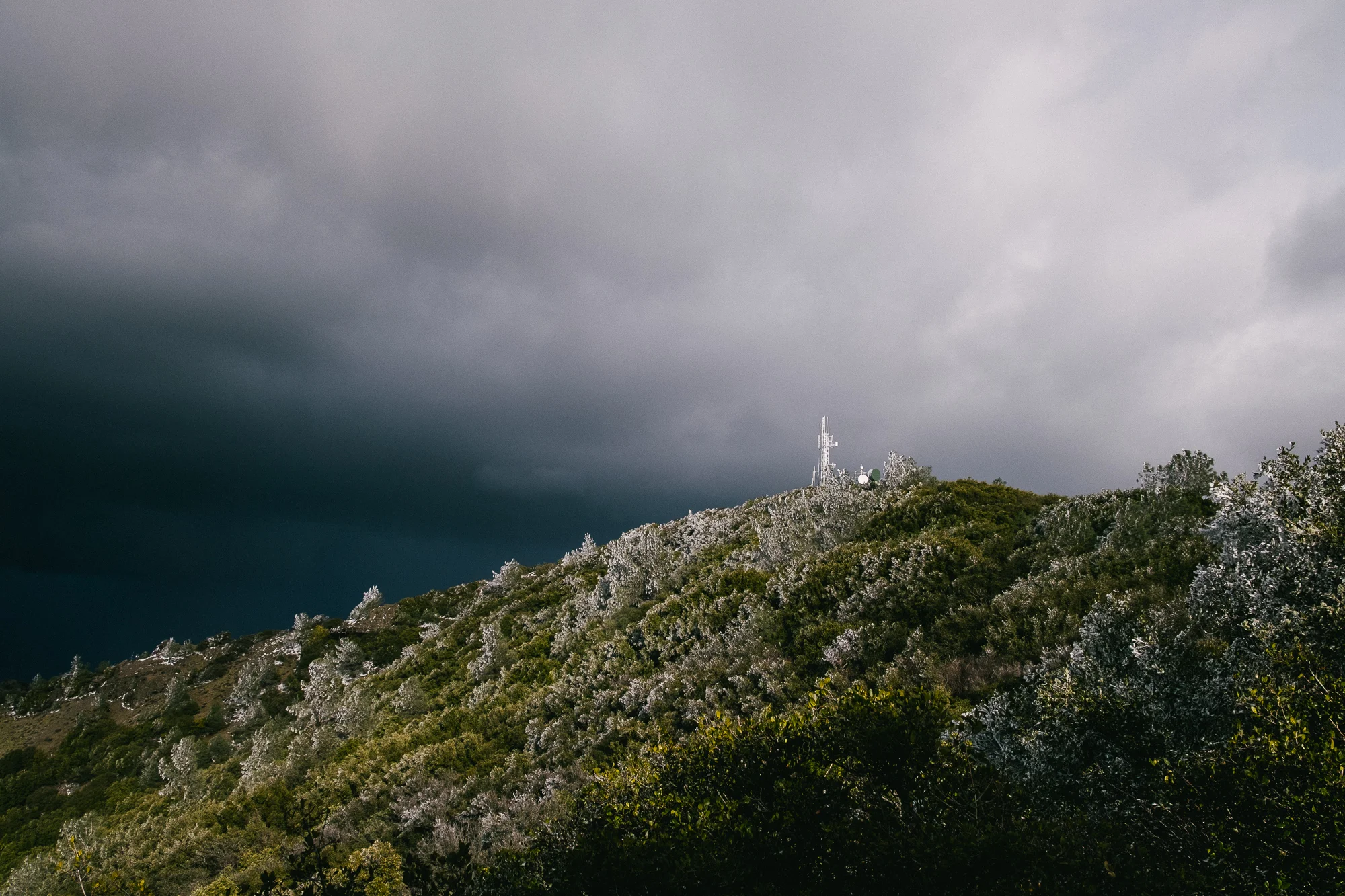 mt diablo-11.jpg