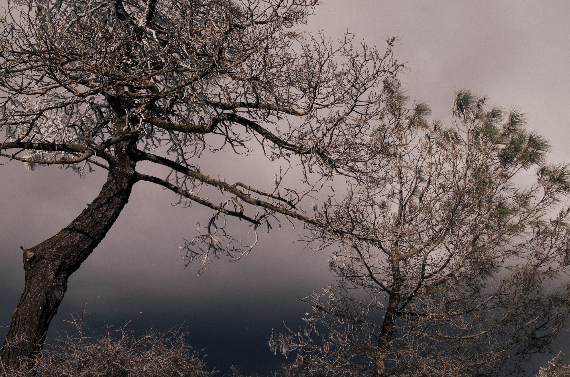 mt diablo-10.jpg
