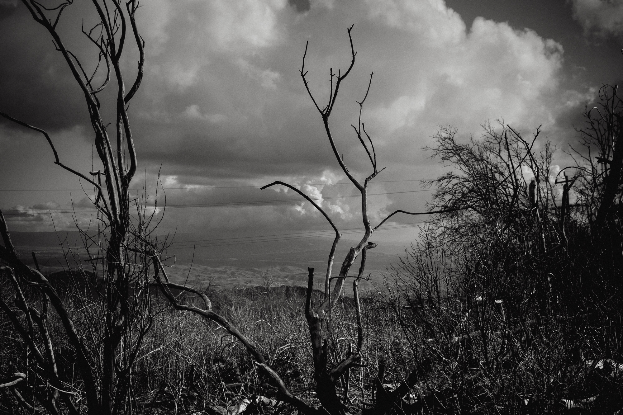 mt diablo-7.jpg