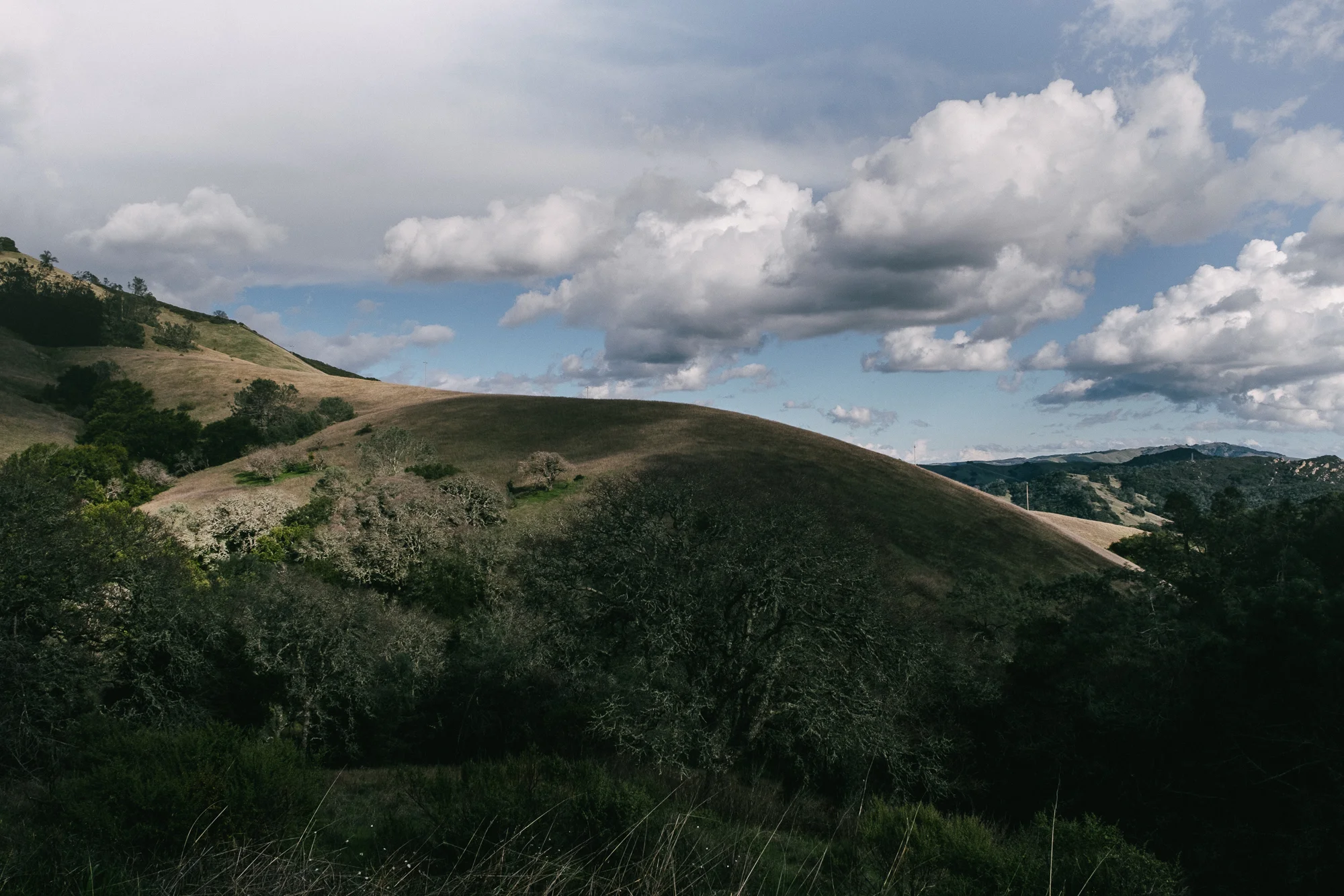 mt diablo-2.jpg