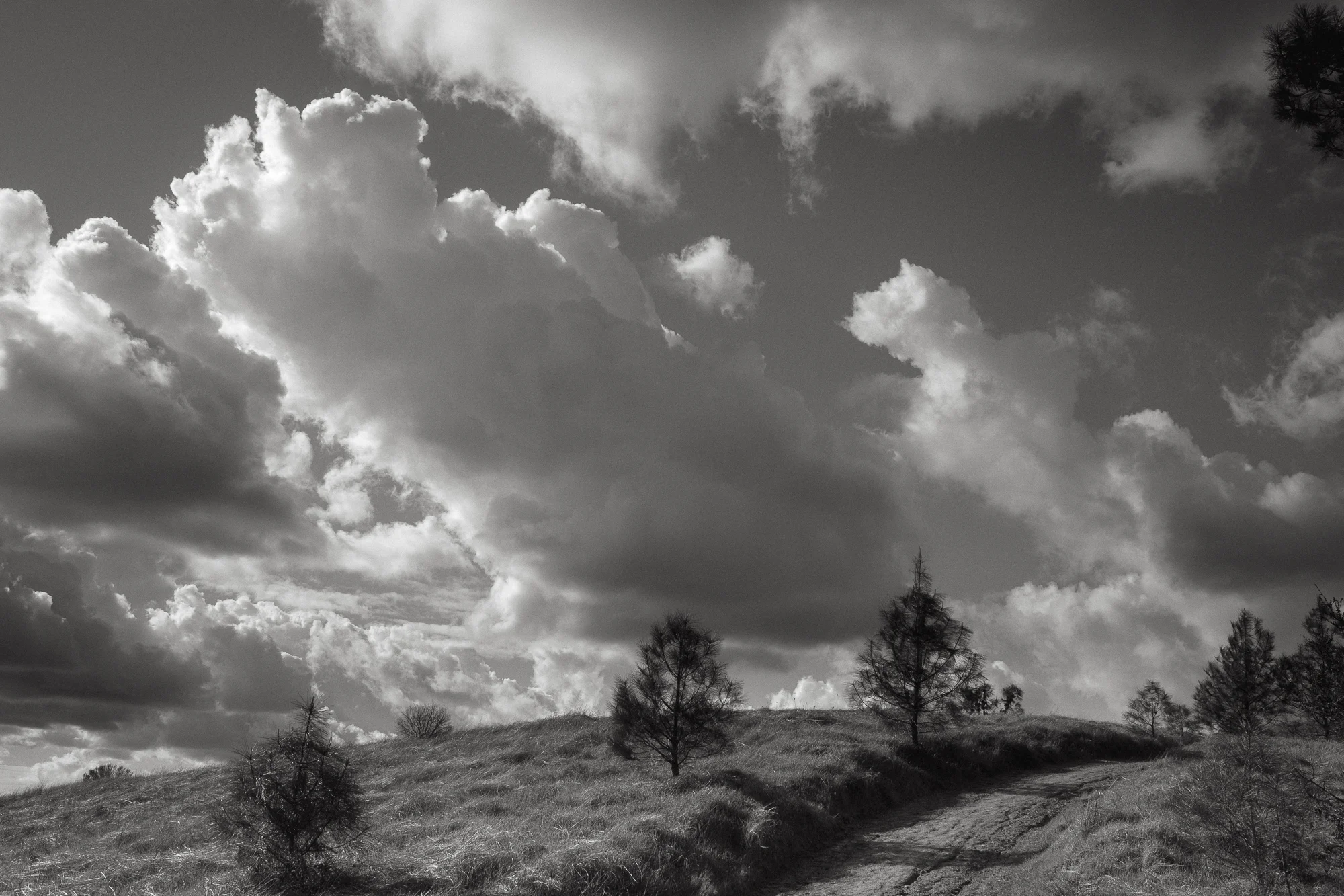mt diablo.jpg