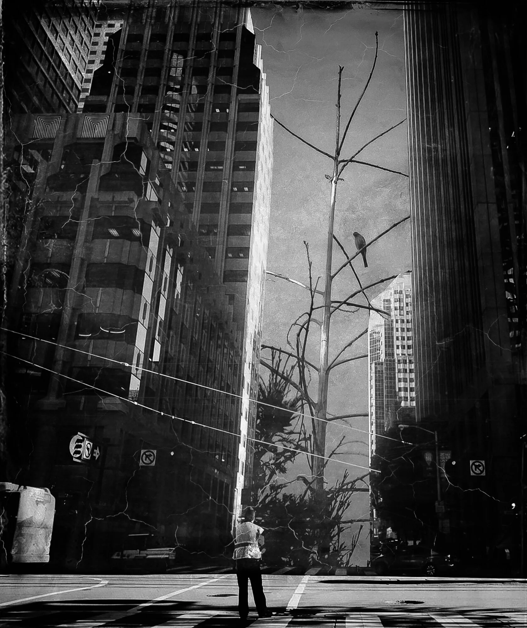 spaces of alienation-7.jpg