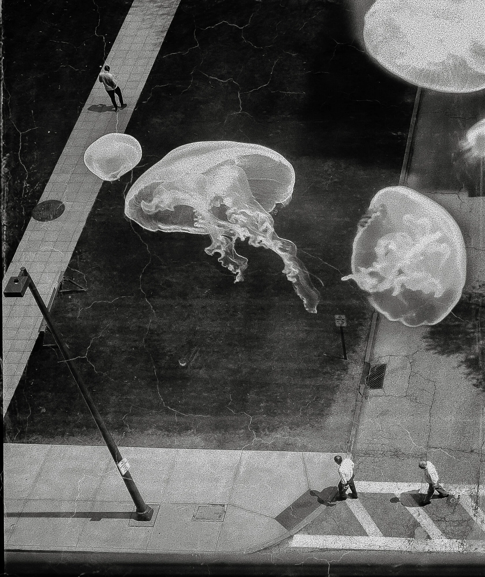 spaces of alienation-8.jpg