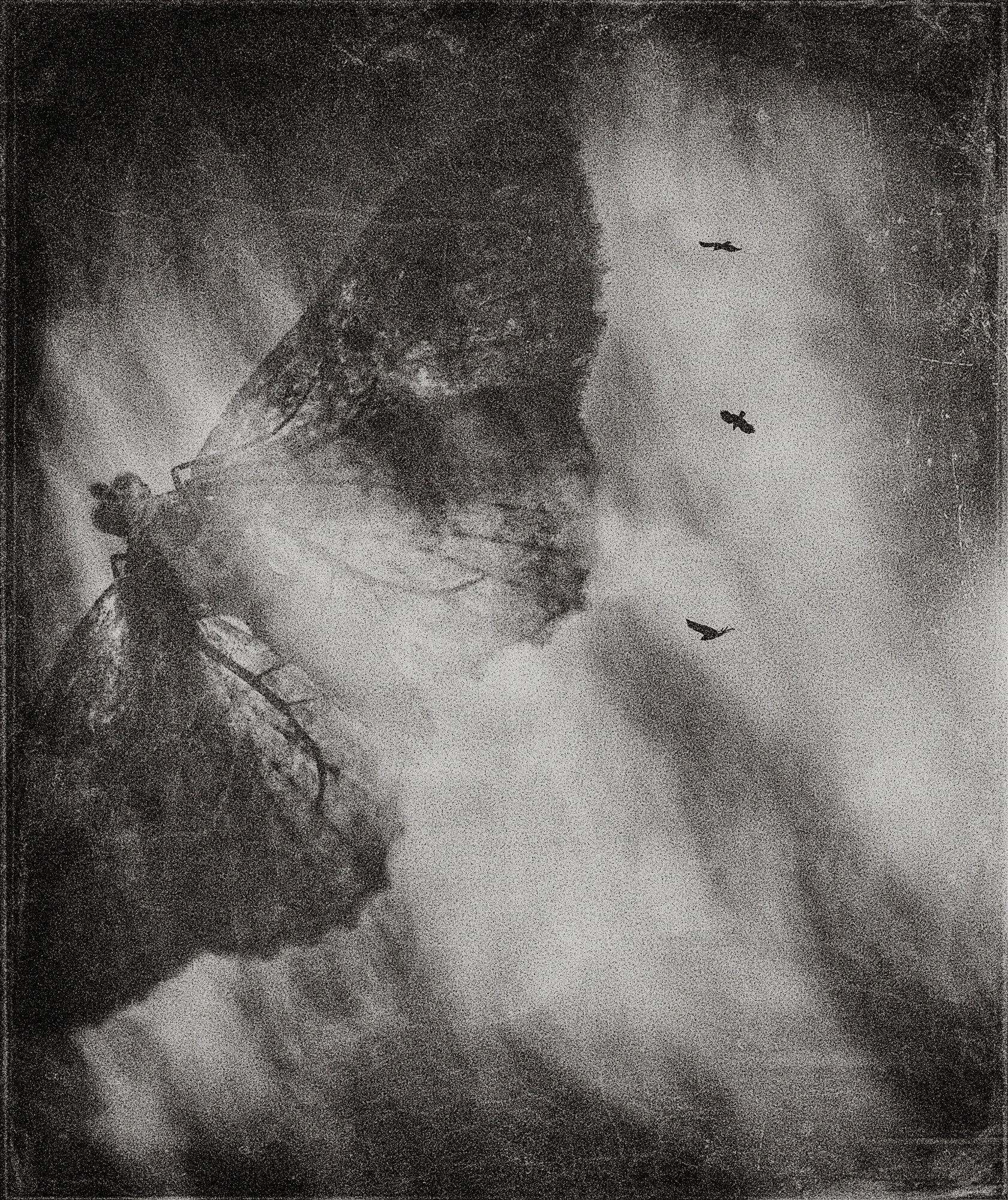 spaces of alienation2-5.jpg