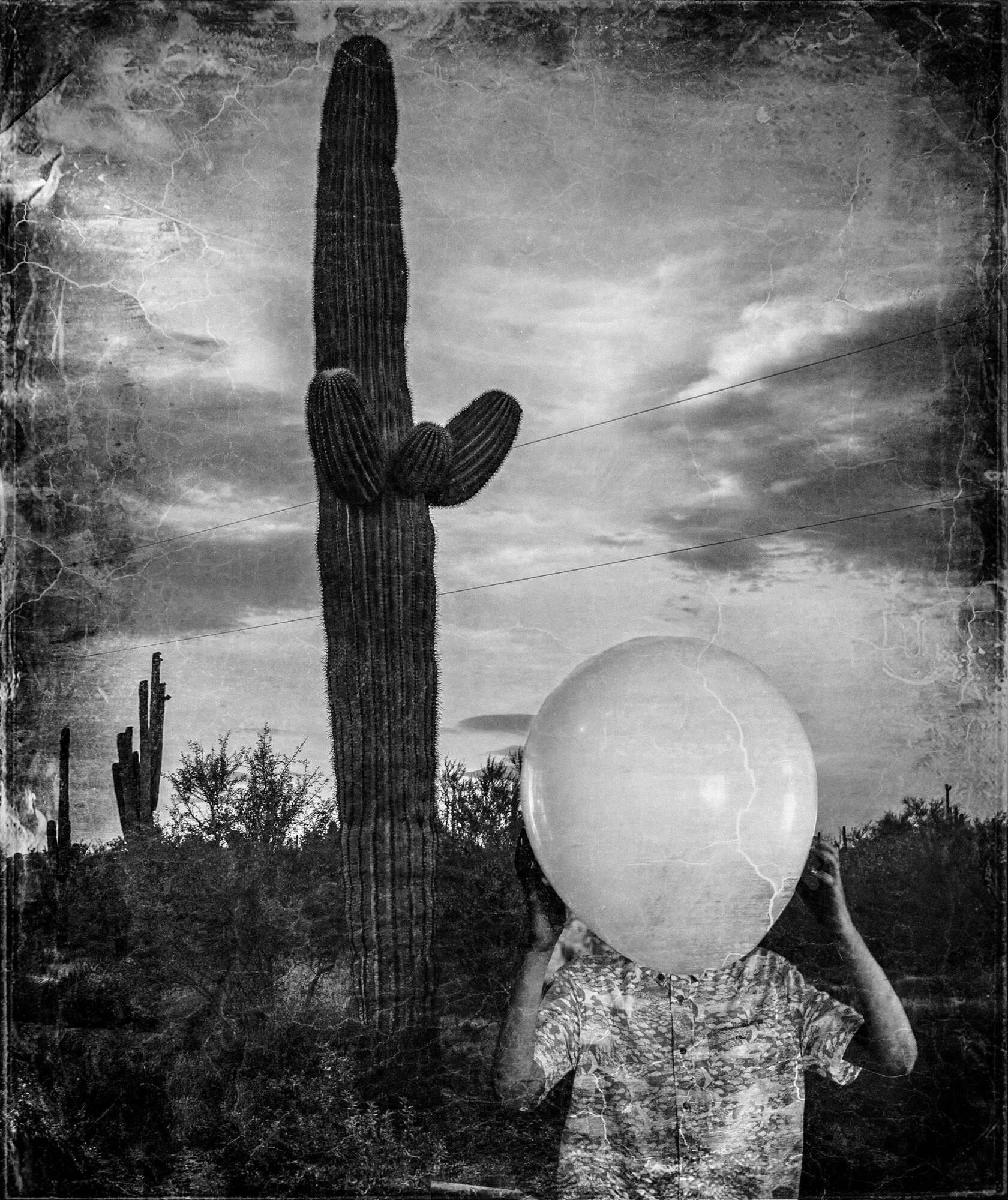 spaces of alienation2-4.jpg