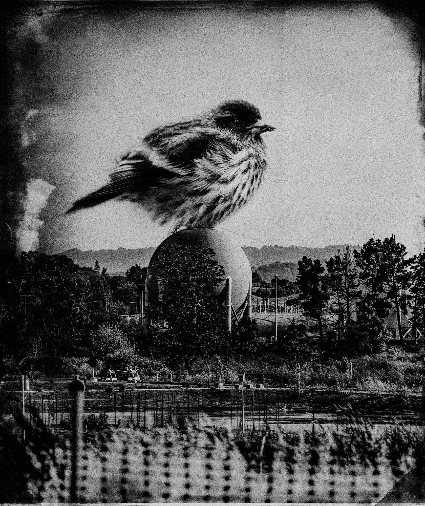 spaces of alienation2-2.jpg