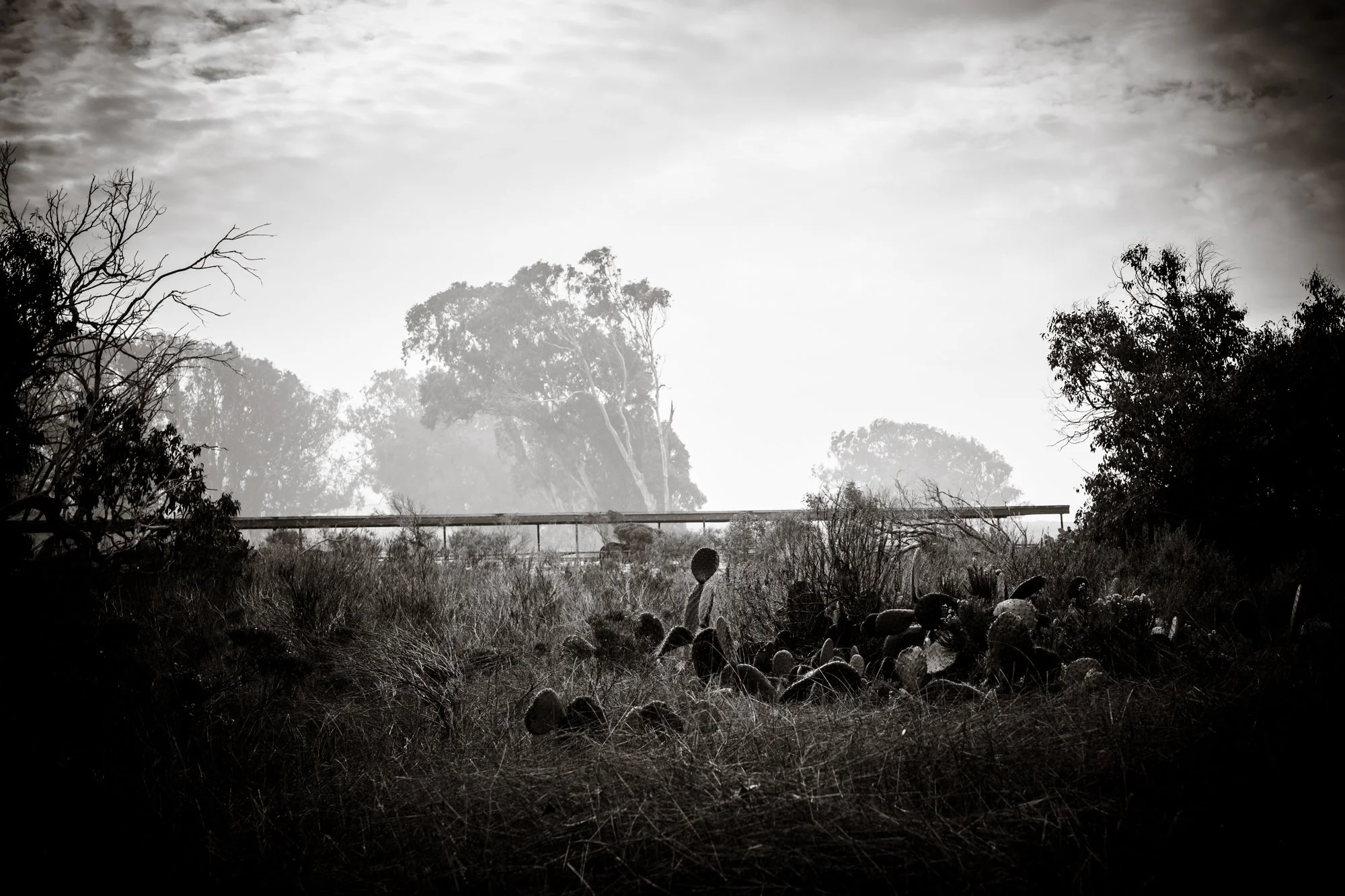 morrobay-2.jpg