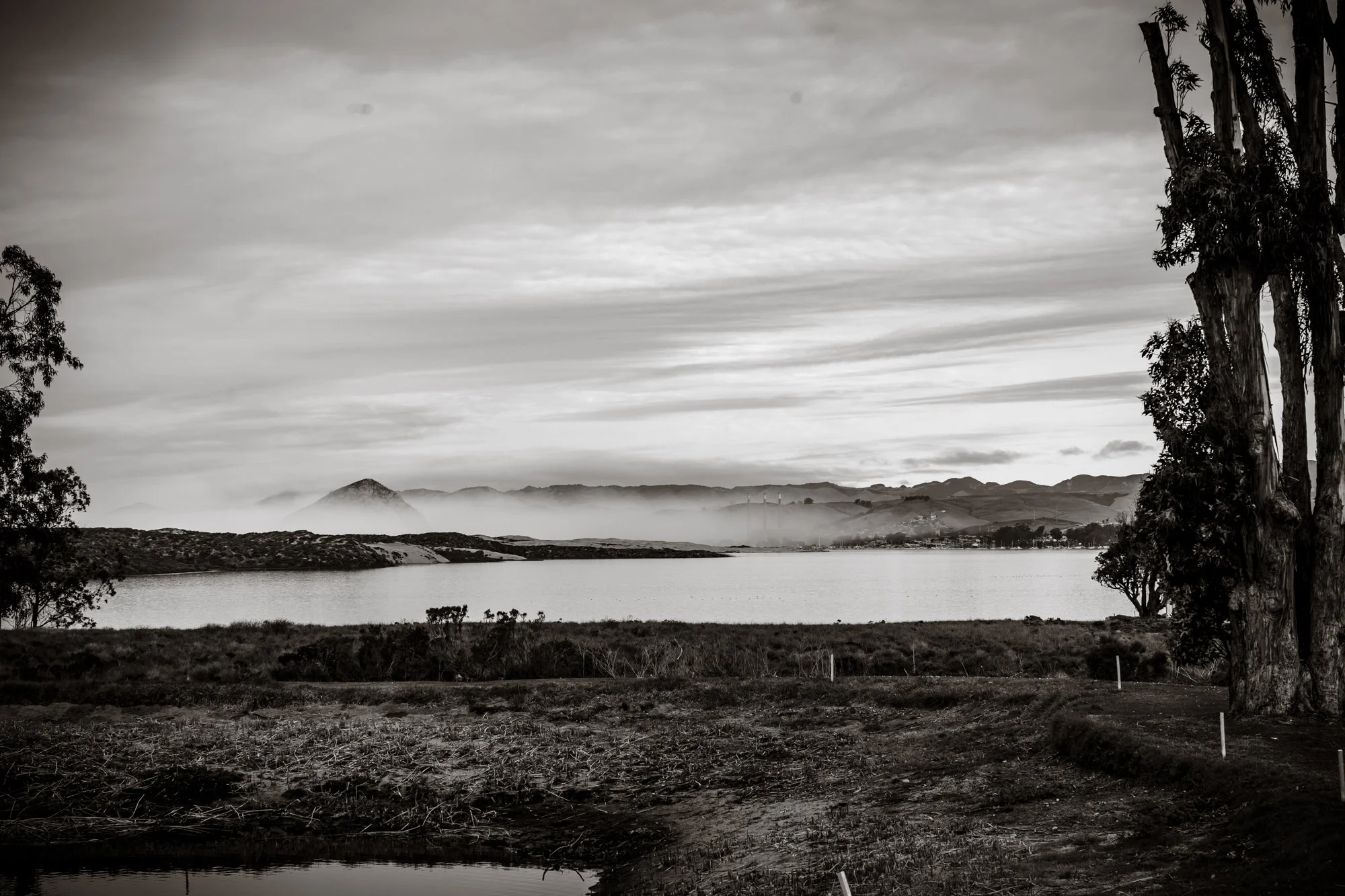 morrobay.jpg