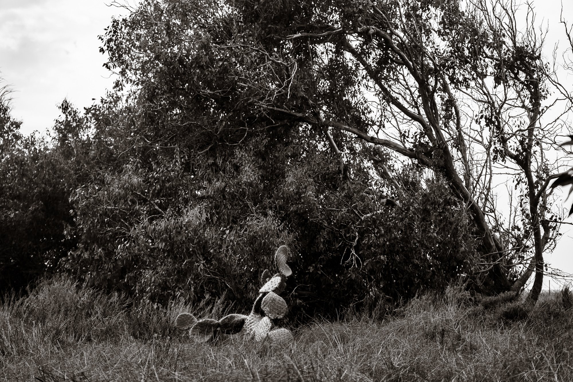 morrobay-4.jpg
