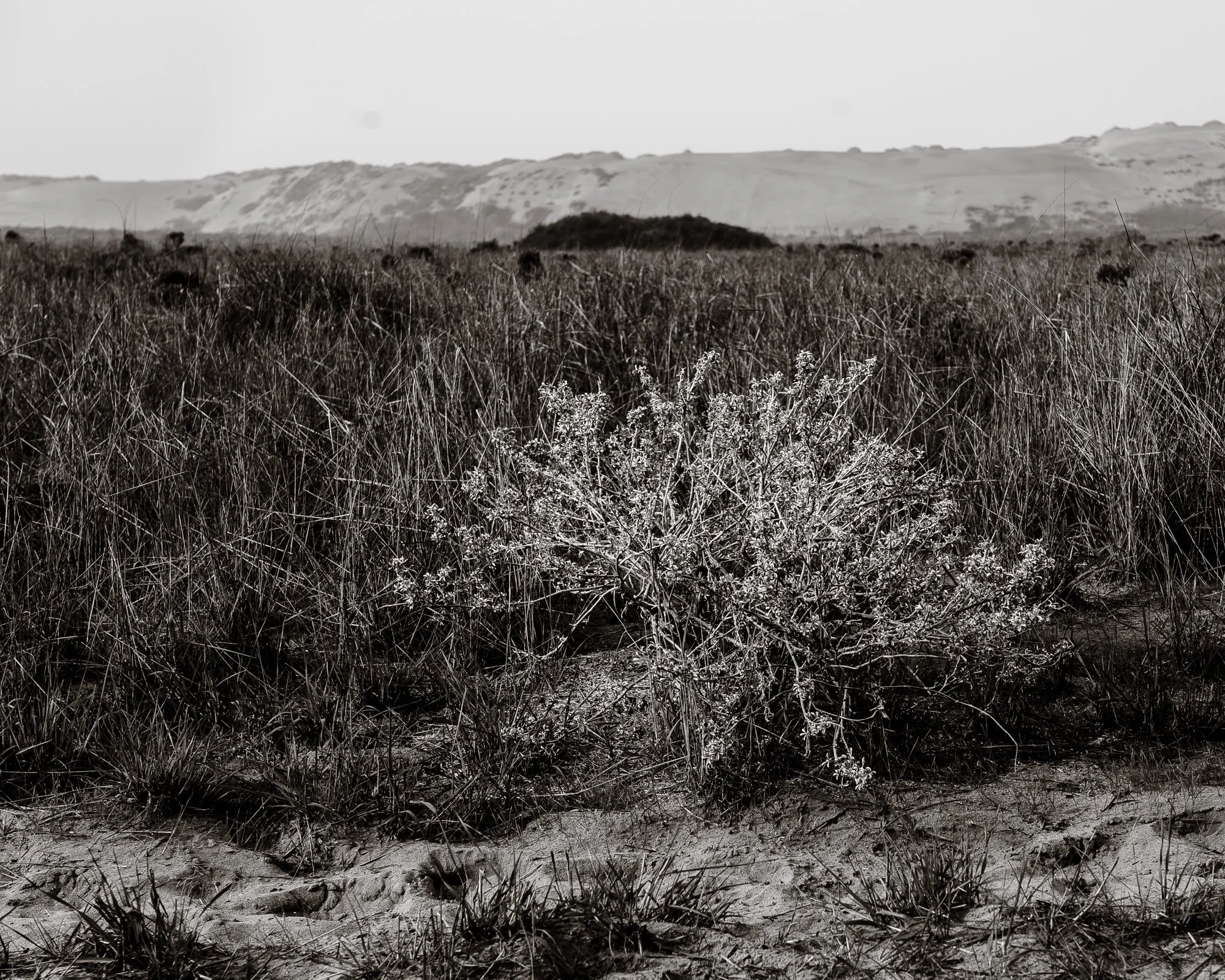 morrobay-7.jpg