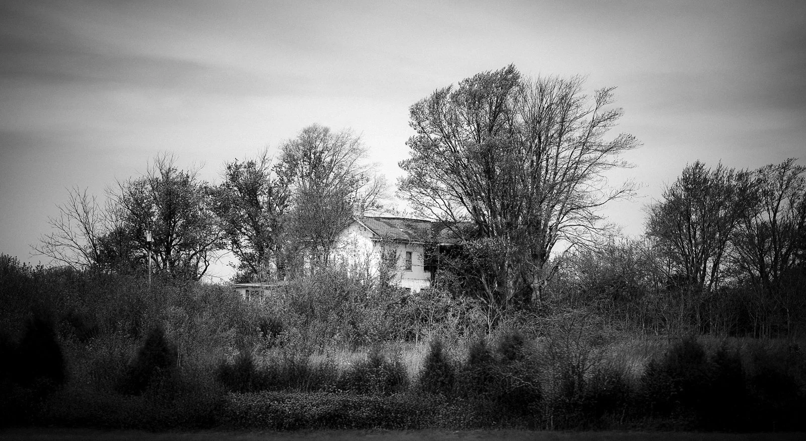 Portfolio-25.jpg