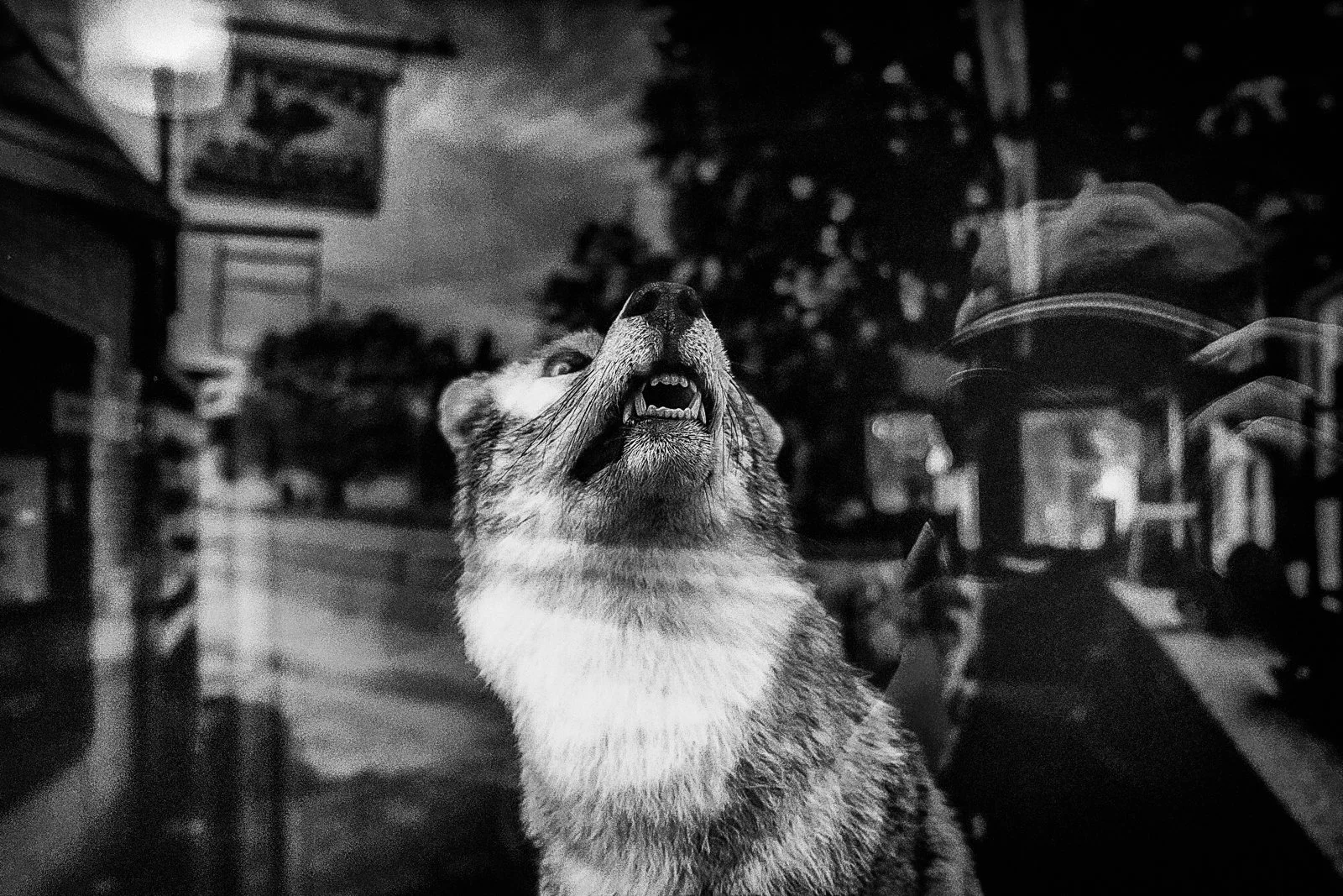 Portfolio-29.jpg