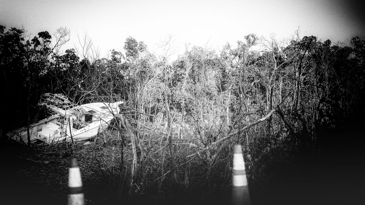 Scars as stories-26.jpg