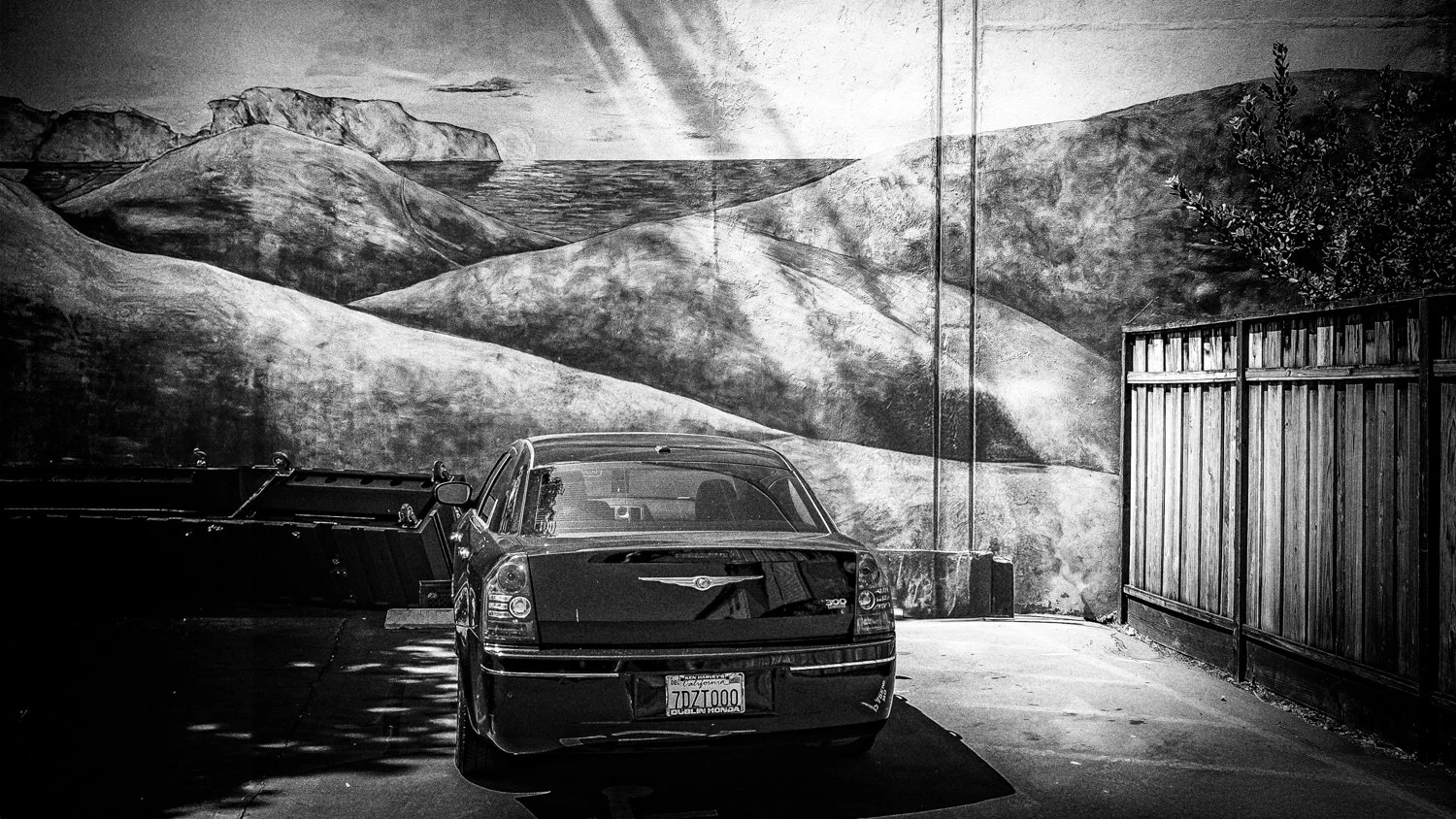 Scars as stories-3.jpg