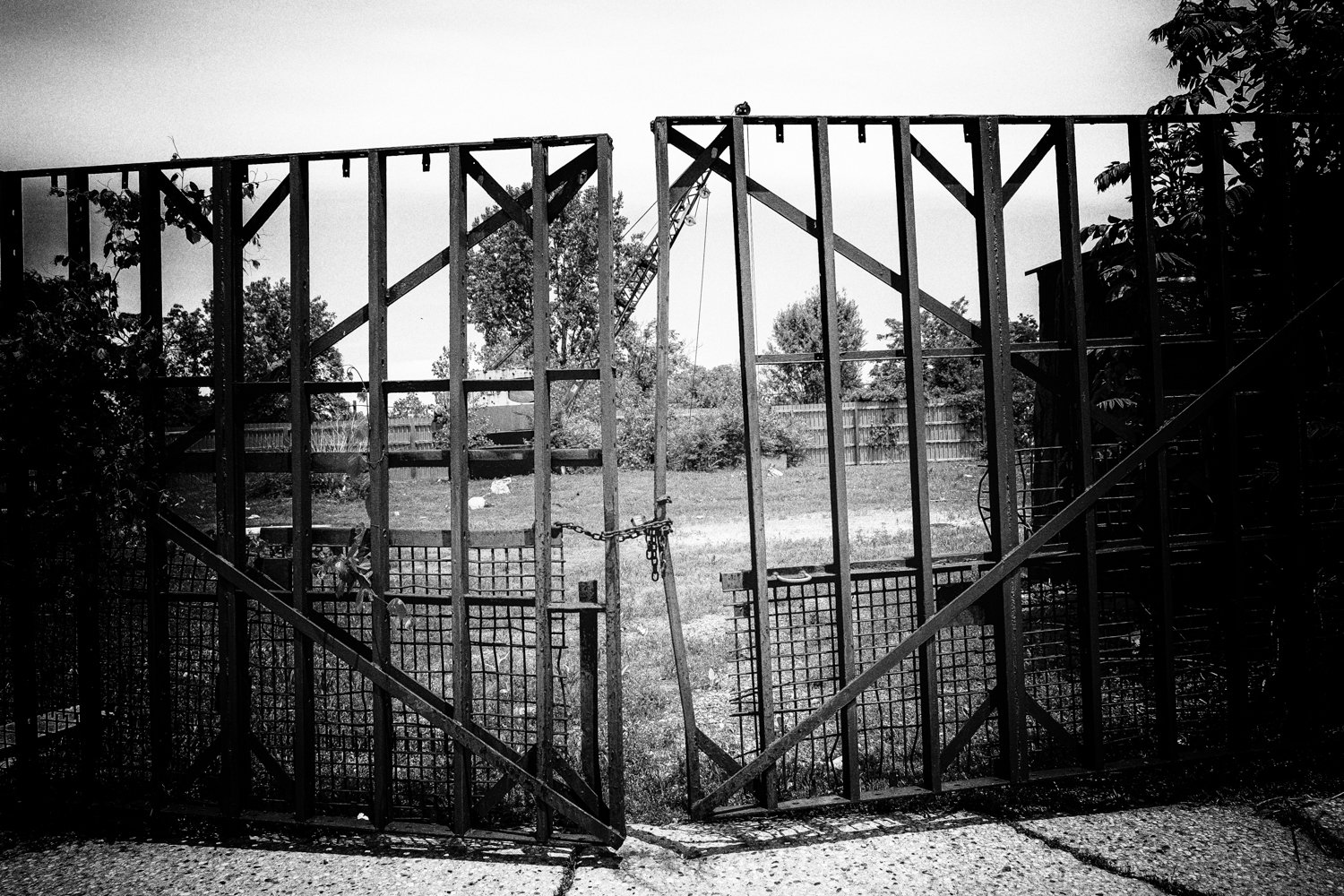 Scars as stories-4.jpg