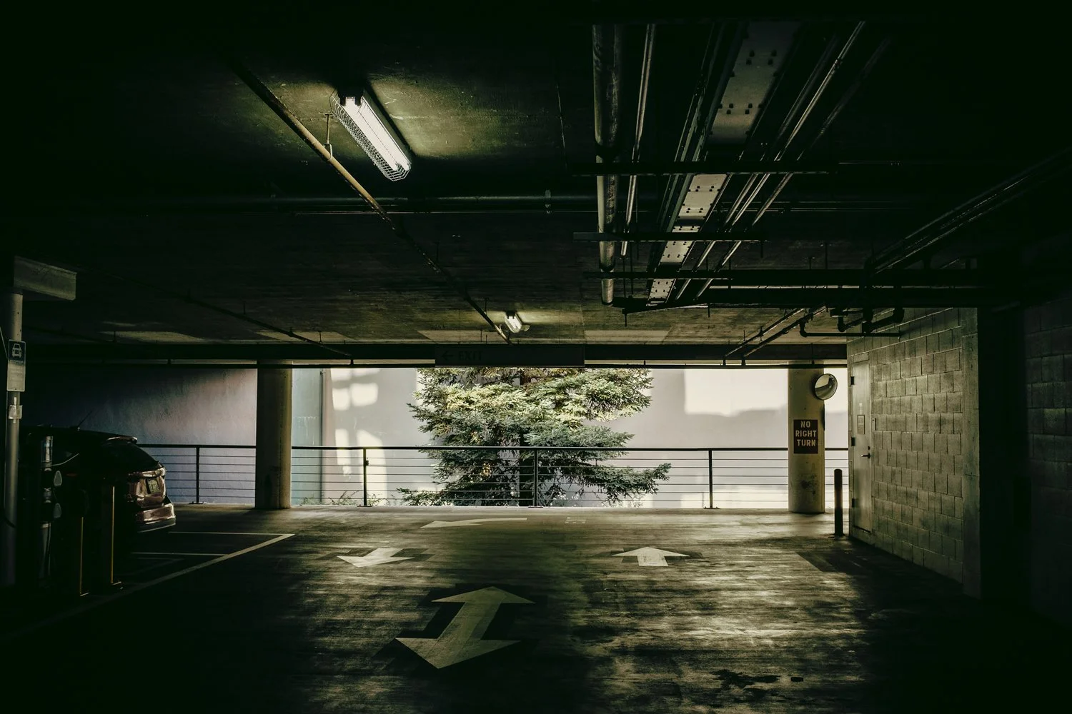 theforestB-5.jpg