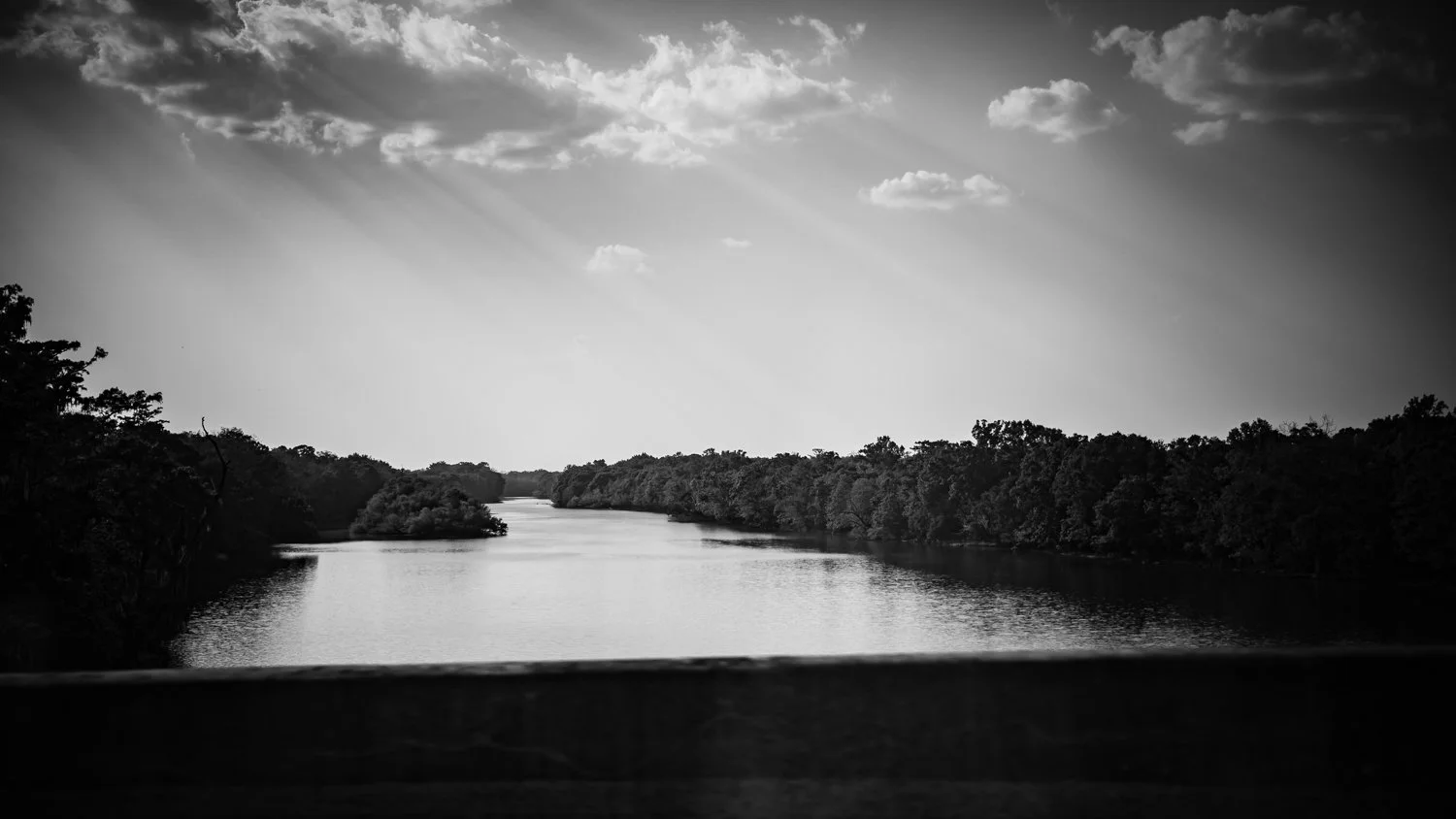 theforestB-9.jpg