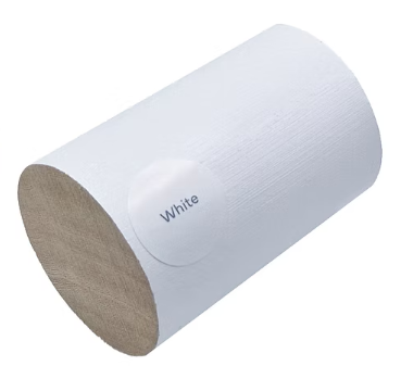 CF White.png (Copy) (Copy) (Copy) (Copy)